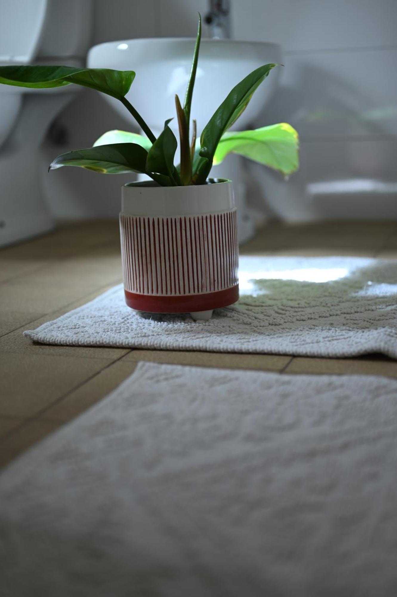 Niche Boutique Hotel Tirana Zewnętrze zdjęcie