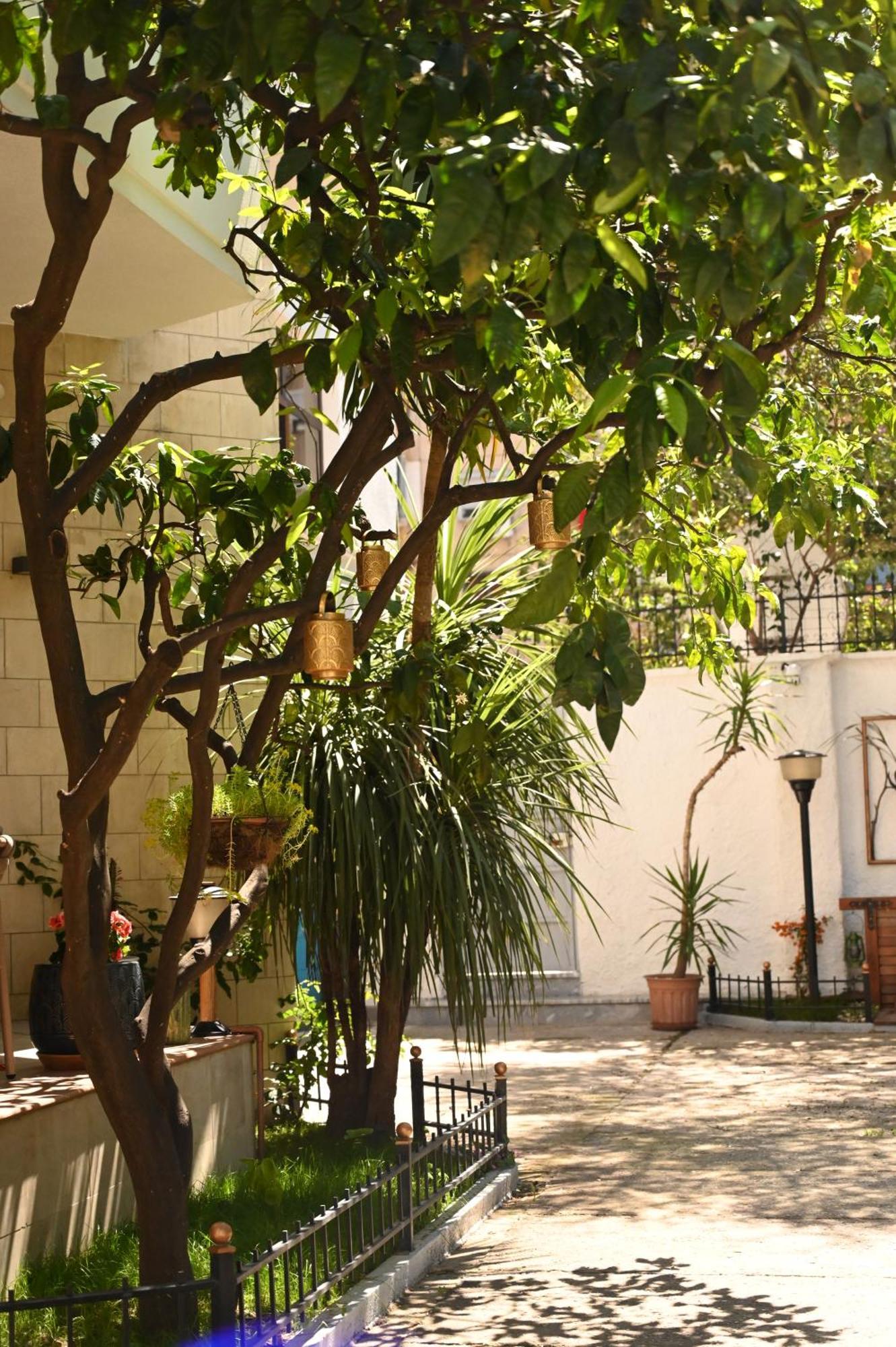 Niche Boutique Hotel Tirana Zewnętrze zdjęcie